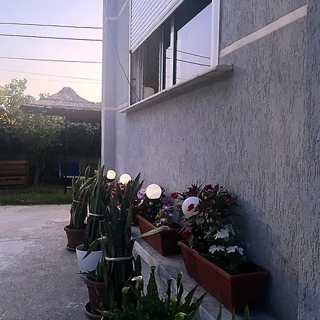 Hostel Old *