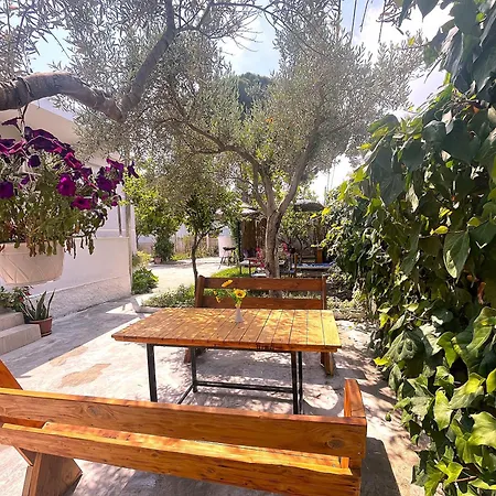 Old Hostel Wlora
